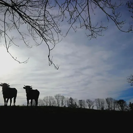 مزرعة للإقامة Himmelshof ايسني ام الغو